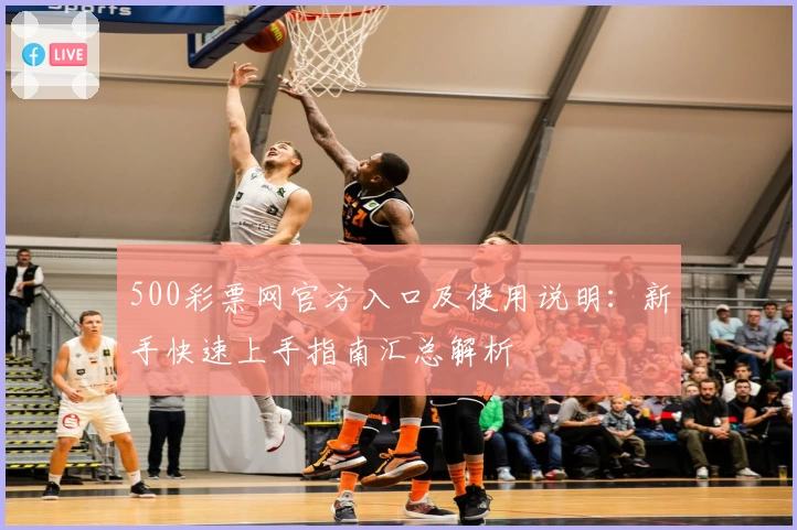 500彩票网官方入口及使用说明：新手快速上手指南汇总解析